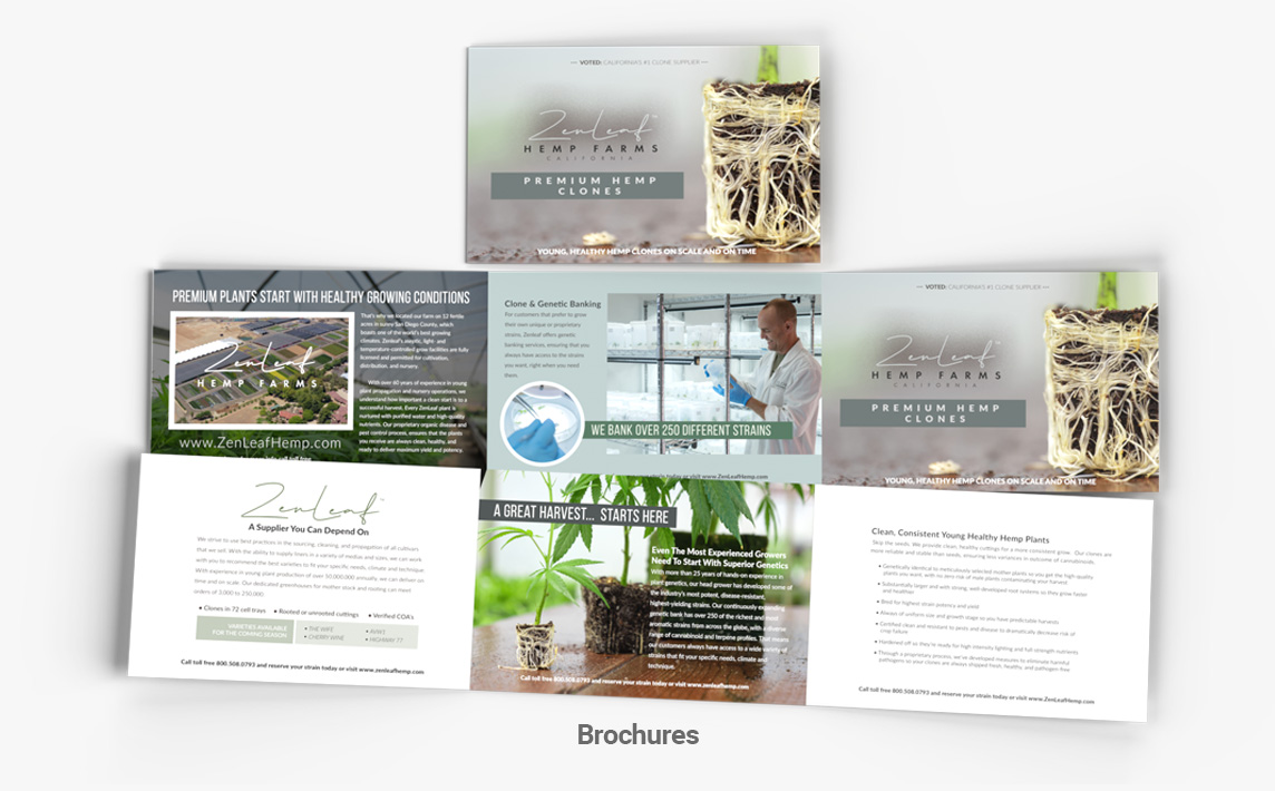 freelance web design